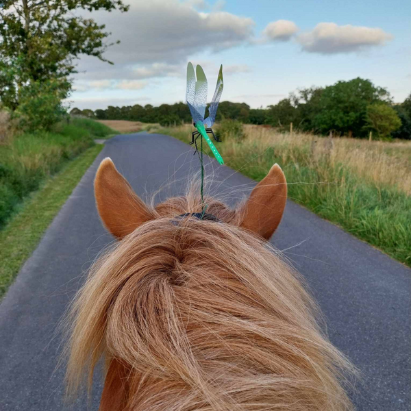 Trollsländan Hästskydd